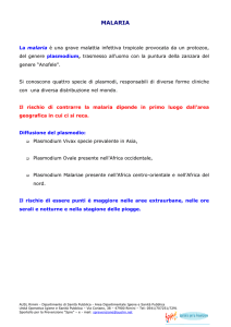 vaccinazione malaria - AUSL Romagna Rimini