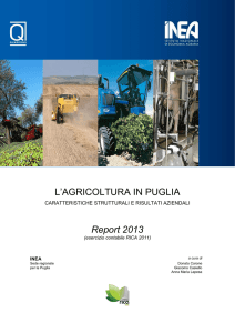 L`AGRICOLTURA IN PUGLIA Report 2013 - INEA - RICA
