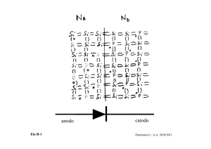 anodo catodo