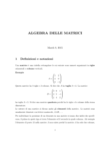 algebra delle matrici