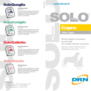 Brochure SOLO Capra