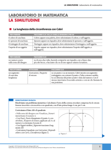 LABORATORIO DI MATEMATICA LA SIMILITUDINE