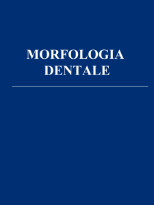 morfologia dentale