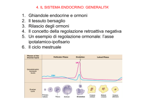 1. Ghiandole endocrine e ormoni 2. Il tessuto bersaglio 3. Rilascio