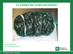 La vitalità dei molluschi bivalvi