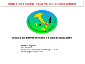Diapositiva 1 - Profumo di Lucania