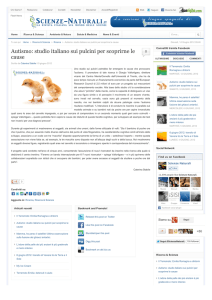 Autismo: studio italiano sui pulcini per scoprirne le cause