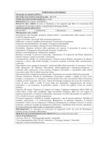 21--Programmi Guida 2013-14 (F.Peluso, 2 programmi)