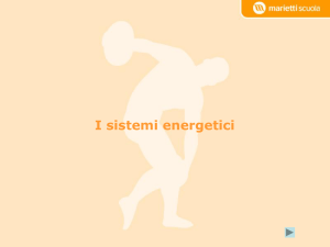 I sistemi energetici Team