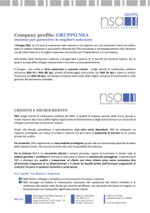 Company Profile Gruppo NSA