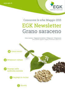 EGK Newsletter Grano saraceno