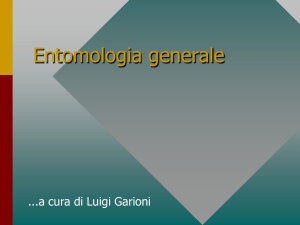 Entomologia generale