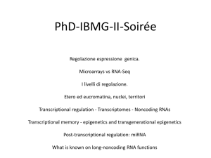 2-Slides pomeriggio