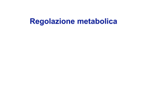 Regolazione metabolica