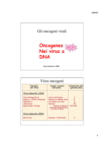 Oncogenes Nei virus a DNA