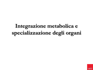 Approfondimento_Integrazione metabolica - Progetto e