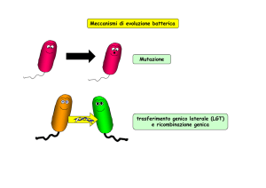 Mutazione trasferimento genico laterale (LGT) e ricombinazione