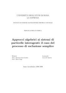 Approcci algebrici ai sistemi di particelle interagenti: il caso del