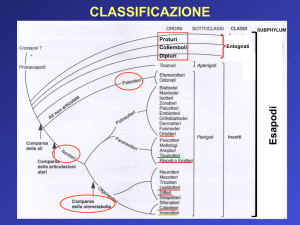 3.Classificazione I (fitomizi).