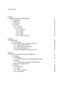 Indice generale Capitolo 1 1. AMBIENTE DELLA PEDOGENESI 11