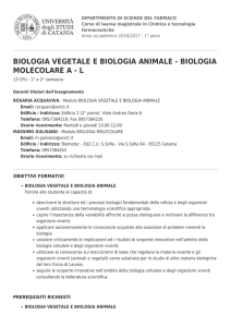 Apri in formato Pdf