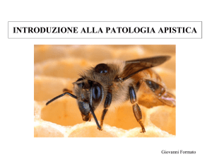introduzione alla patologia apistica