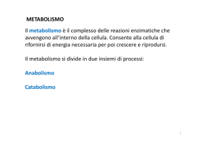 METABOLISMO Il metabolismo è il complesso delle reazioni