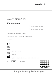 HB artus EBV-LC-PCR-Kit-CE-0706-IT