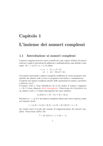 Capitolo 1 L`insieme dei numeri complessi