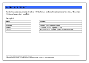 Matrici di dati per l`analisi aziendale