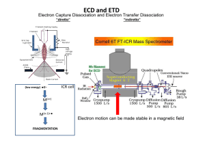 ECD and ETD - Imprintaonline.it
