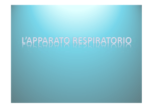 Lez 5 Apparato Respiratorio