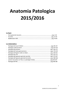 Sbobinature complete corso 2015/2016