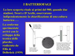 batteriofagi 2016-17 - e