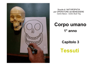 CU1-3 Tessuti - Scuola di Naturopatia
