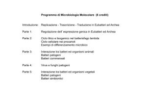 Lezione 1 - Docenti.unina