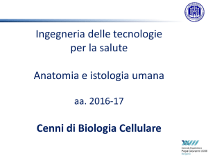 Diapositiva 1 - Università degli studi di Bergamo