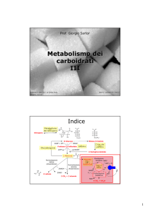 B09-III. Metabolismo glucidico - III parte