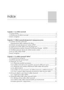 Indice - Libreria Universo