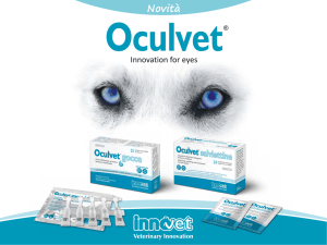 Oculvet (MB0119-09-2013)