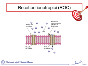 Recettori ionotropici (ROC)