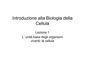 Introduzione alla Biologia della Cellula