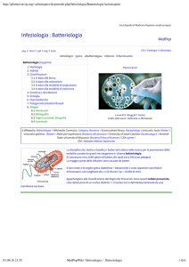 MedPop | Infeziologia / Batteriologia