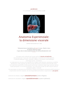 Anatomia Esperienziale: la dimensione viscerale