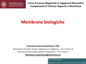 Corso di Laurea Magistrale in Ingegneria Biomedica Complementi