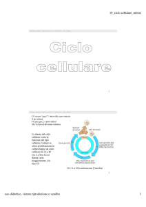 18_ciclo cellulare_mitosi uso didattico, vietata riproduzione e