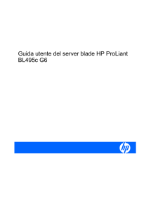 Guida utente del server blade HP ProLiant BL495c G6