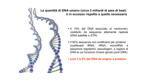 DNA Sequencing