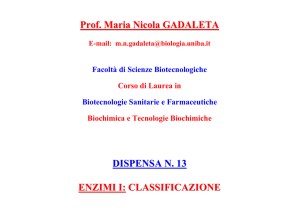Prof. Maria Nicola GADALETA DISPENSA N. 13 ENZIMI I