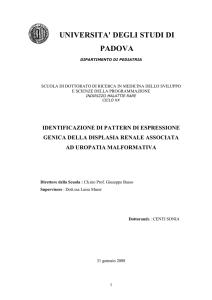 Documento PDF - Padua@Research